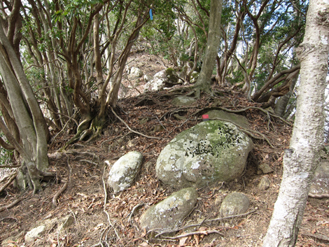 20200204hike (262)
